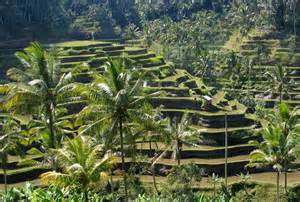 Ubud_Bali